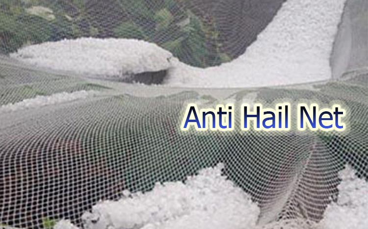 Funktionen af ​​Anti Hail Net