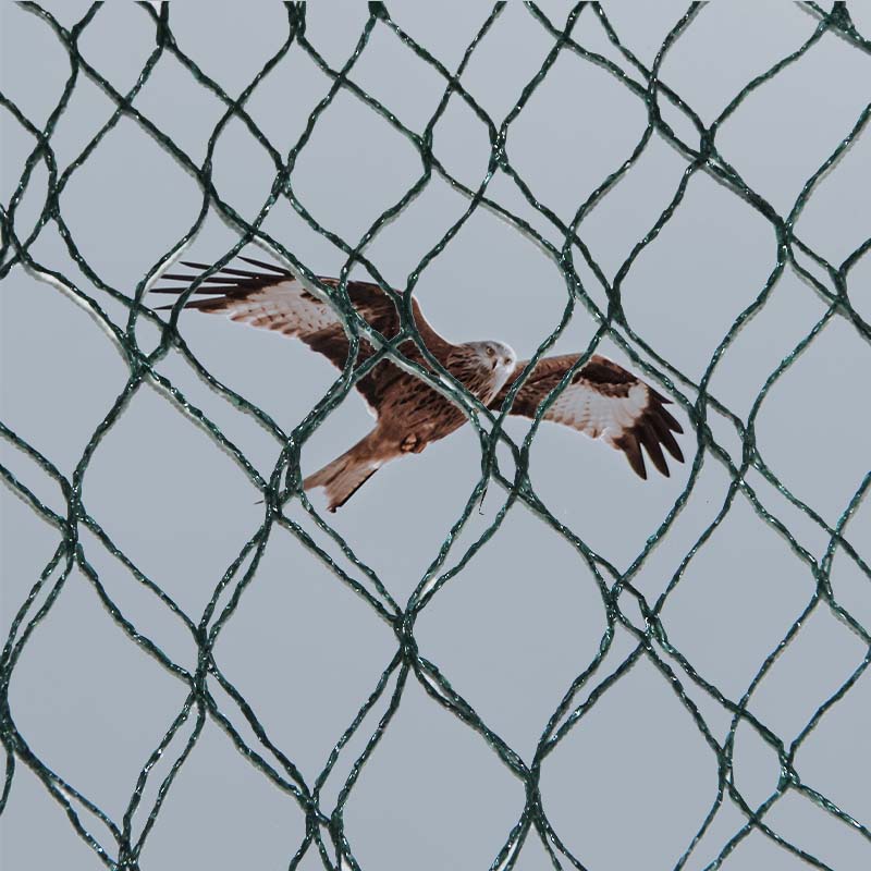 Hvad er materialevalgene og fordele og ulemper ved fugleforebyggende net?