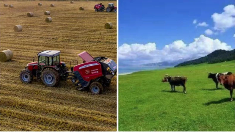 Anvendelse af balle-netindpakning i landbrugsaktiviteter