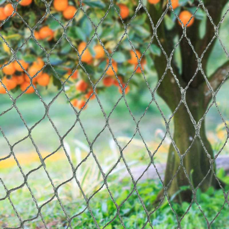 Fuglenet Dyrebarrierer