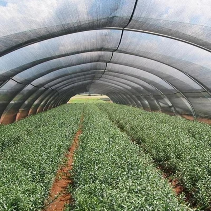 Haveskyggeklud til planter 40% solskinsblokering